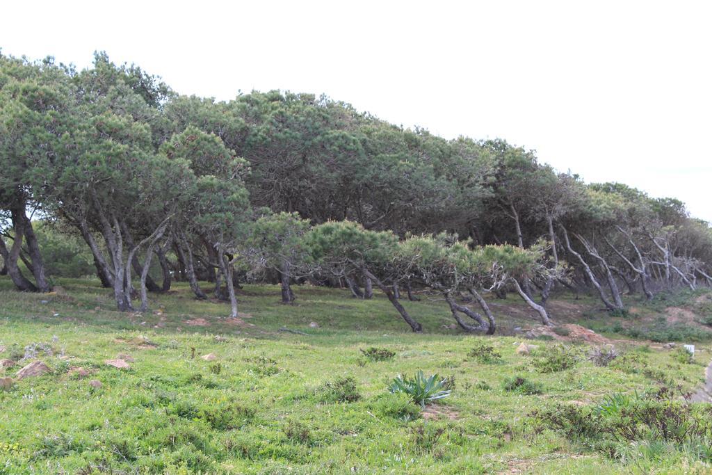 Villa Boa Vista Sul - Terra Da Eira - Raposeira Вила-ду-Биспо Экстерьер фото